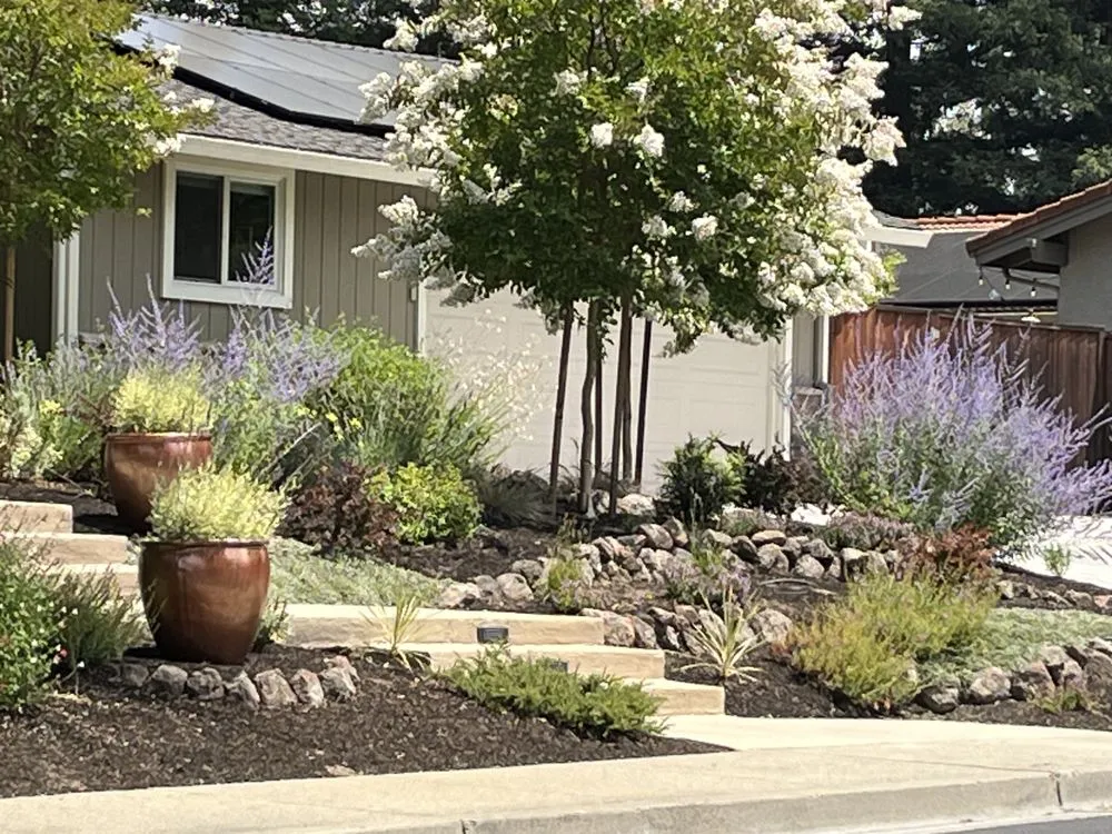 Top-rated yard cleanup service with custom design in Concord, CA by Sunrise Garden Design