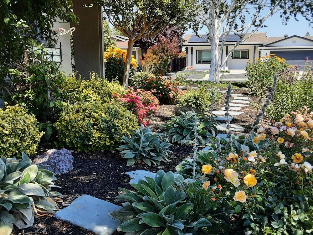 Custom lawn mowing service experts serving Concord, CA - Sunrise Garden Design