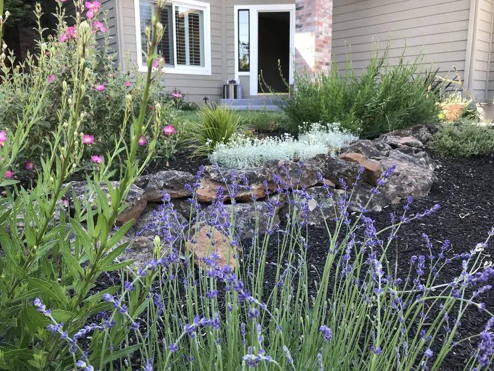 Trusted landscape design for outdoor upgrades across Concord, CA - Sunrise Garden Design