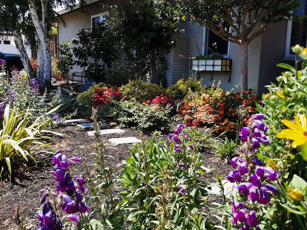 Local lawn mowing service for homes across Concord, CA - Sunrise Garden Design