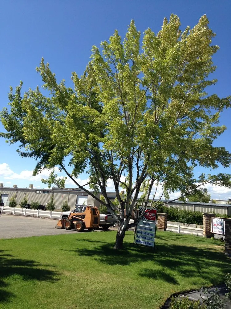 Trusted residential landscaping in Logan, UT by Sunrise Gardening