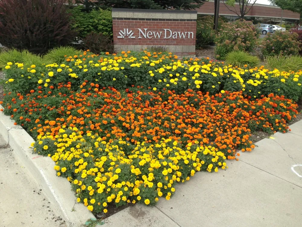 Reliable yard cleanup service for residential properties in Logan, UT by Sunrise Gardening