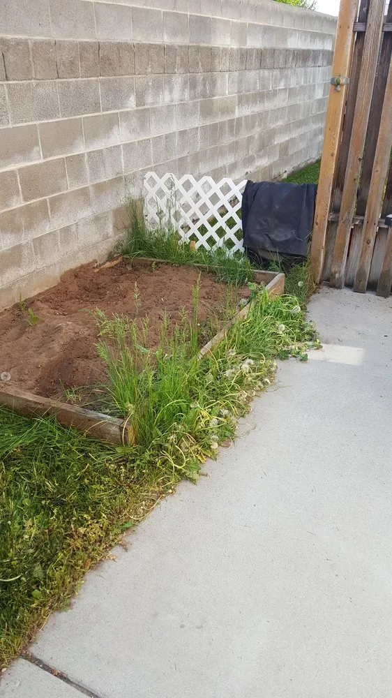 Professional lawn care service experts serving Logan, UT - Sunrise Gardening