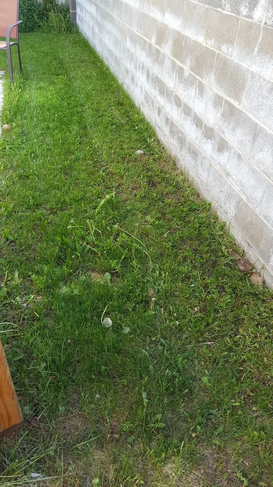 Expert lawn care service with custom design across Logan, UT - Sunrise Gardening