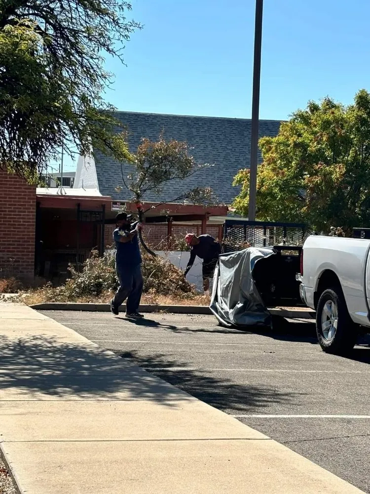 Affordable garden landscaping experts serving Tucson, AZ - Sunrise grounds