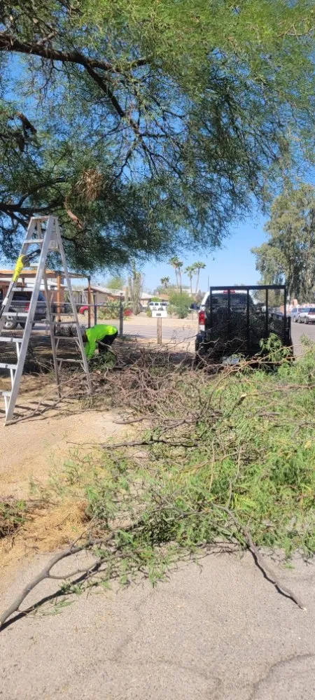 Expert lawn mowing service experts serving Tucson, AZ - Sunrise grounds