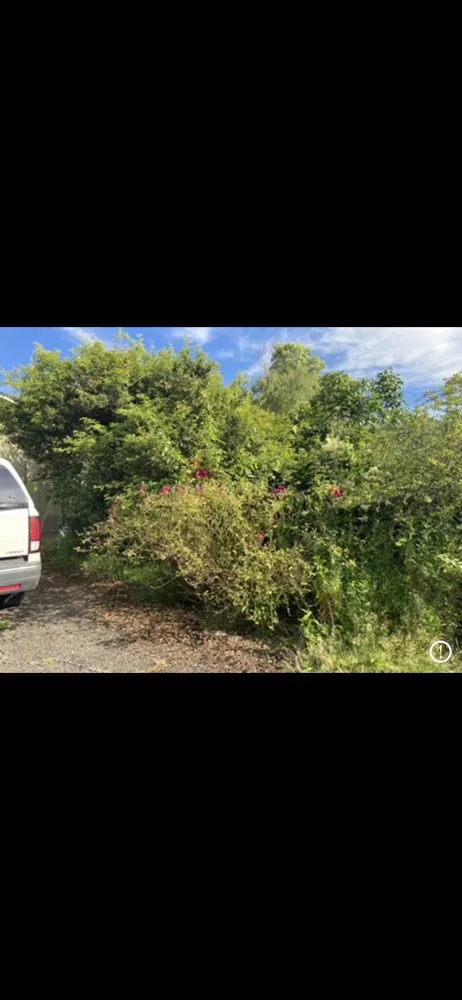 Reliable yard maintenance in Clackamas, OR by Sunrise Groundworks