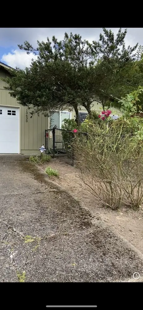 Expert yard maintenance for residential properties in Clackamas, OR by Sunrise Groundworks