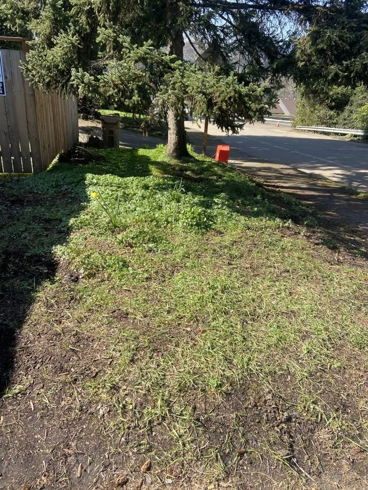 Custom landscape design for outdoor upgrades across Clackamas, OR - Sunrise Groundworks