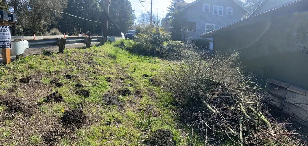 Reliable yard maintenance in Clackamas, OR - Sunrise Groundworks