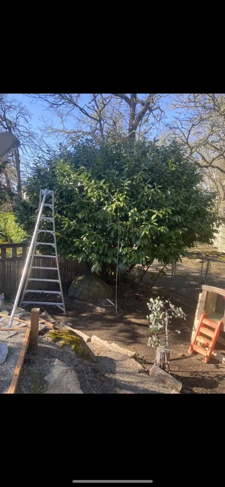 Affordable outdoor landscaping for residential properties in Clackamas, OR by Sunrise Groundworks