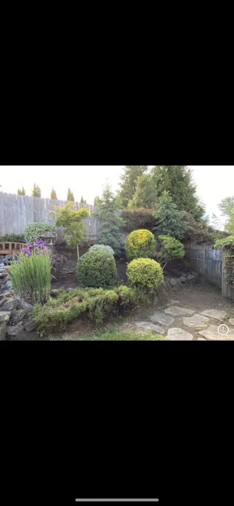 Professional yard cleanup service with custom design in Clackamas, OR by Sunrise Groundworks