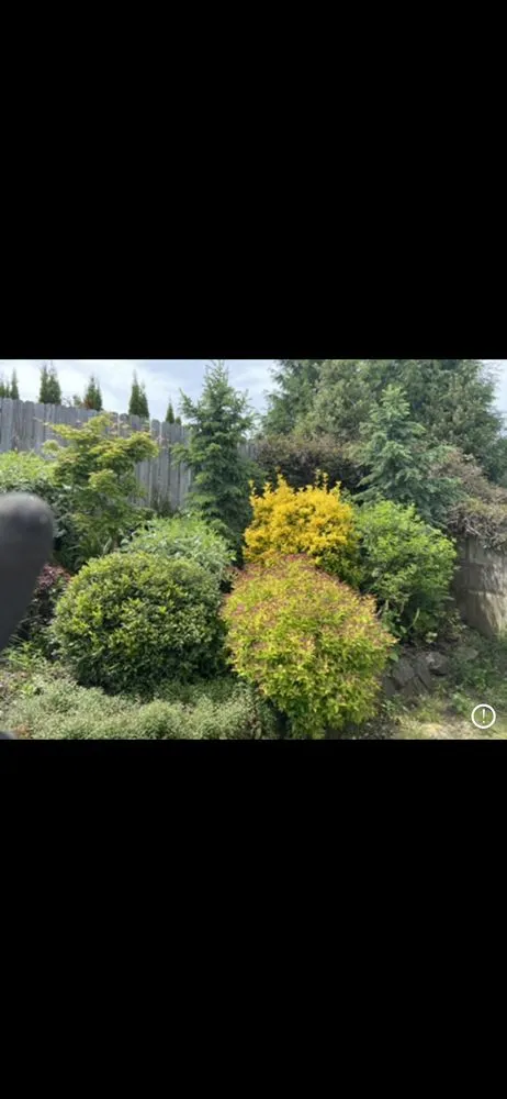 Top-rated landscape design in Clackamas, OR by Sunrise Groundworks