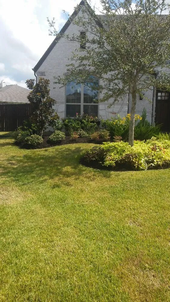 Expert outdoor landscaping for beautiful yards in Houston, TX by Sunrise Irrigation