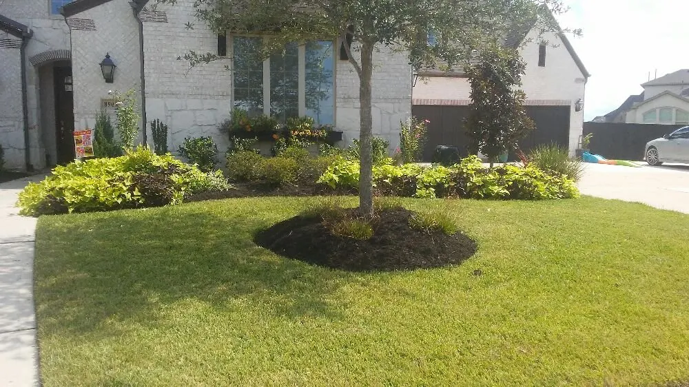 Custom yard cleanup service in Houston, TX by Sunrise Irrigation