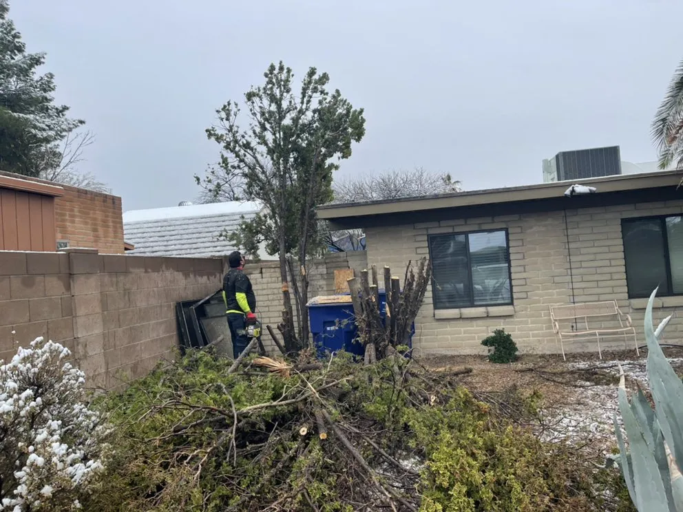 Reliable residential landscaping for year-round maintenance in Tucson, AZ by Sunrise Landscape & Tree Service