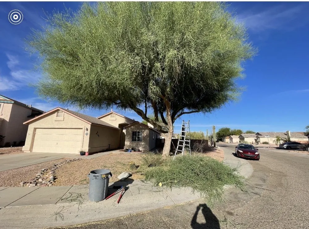 Expert outdoor landscaping in Tucson, AZ by Sunrise Landscape & Tree Service