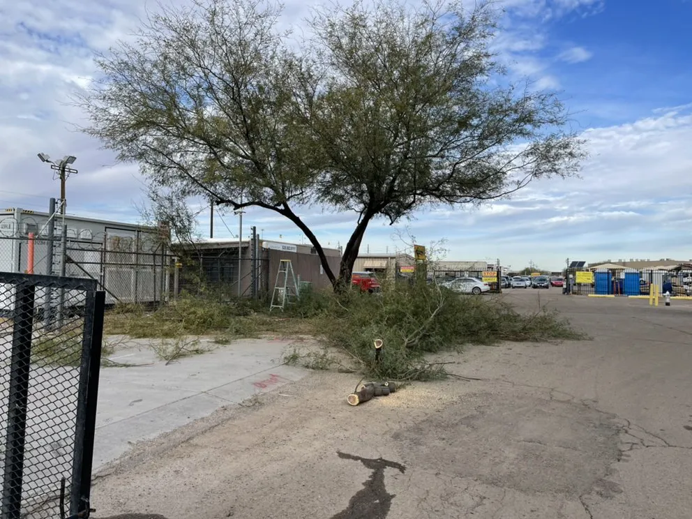 Expert landscape installation experts serving Tucson, AZ - Sunrise Landscape & Tree Service