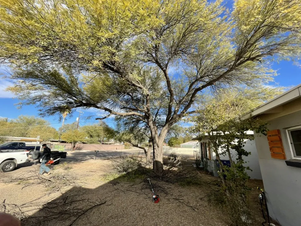 Reliable garden landscaping in Tucson, AZ - Sunrise Landscape & Tree Service