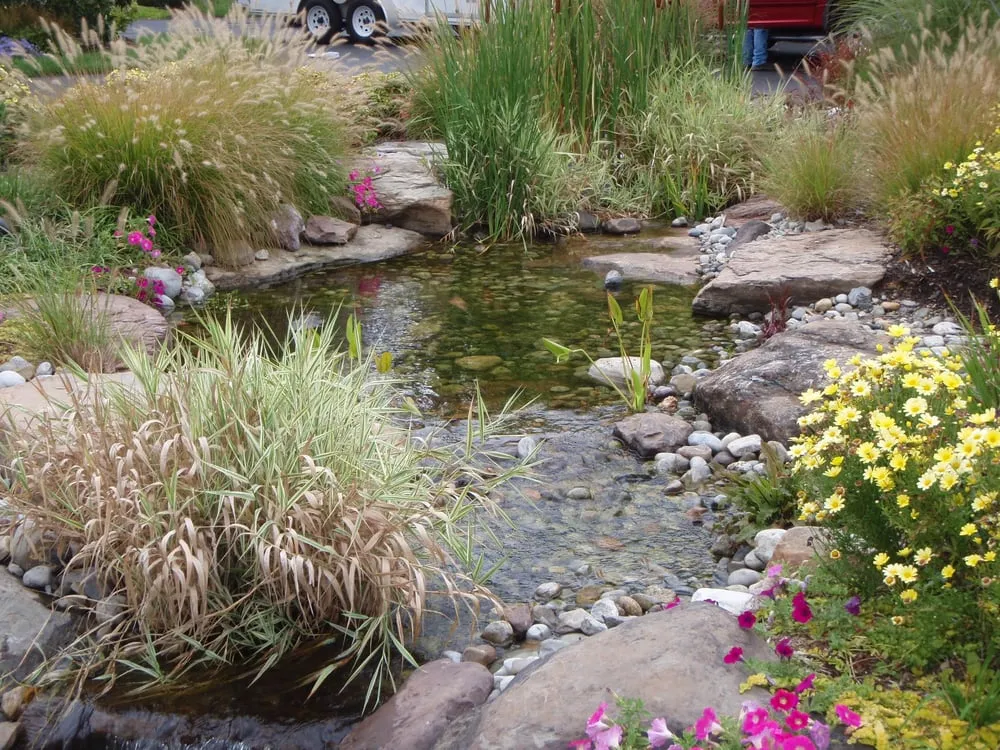 Trusted yard maintenance experts serving Sterling, VA - Sunrise Landscape and Design