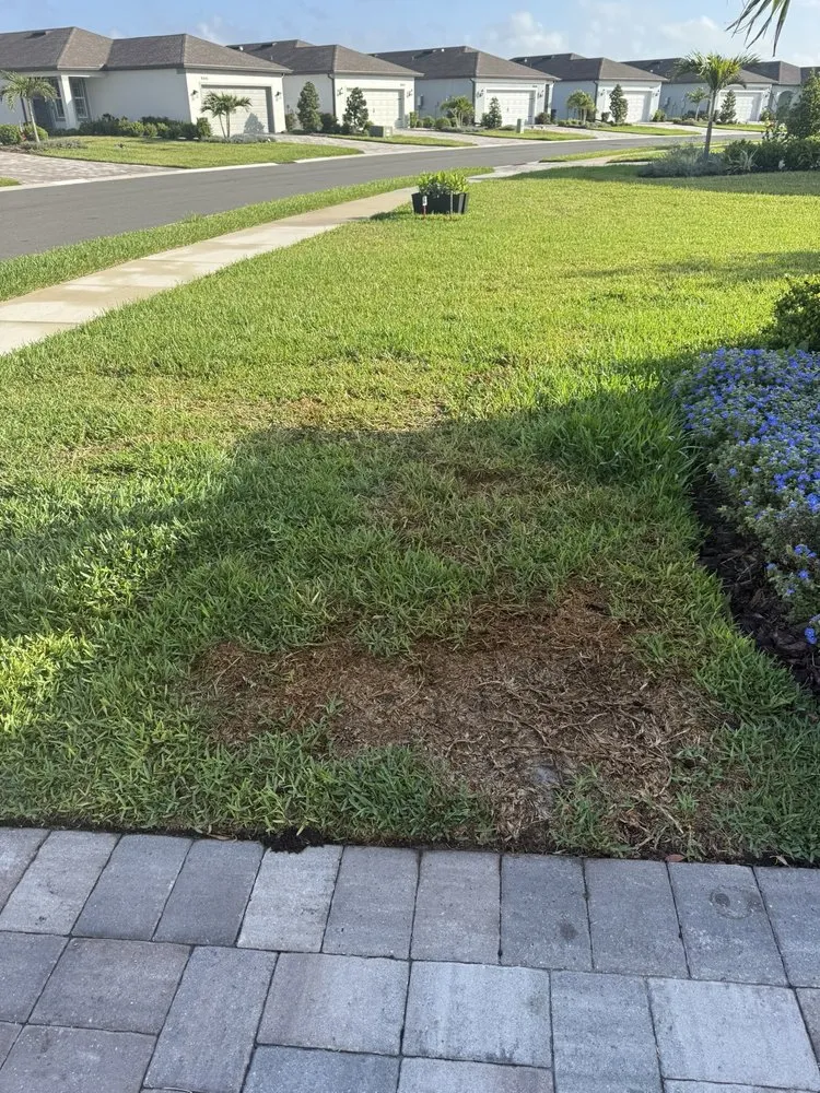 Professional landscaping services in Bradenton, FL by Sunrise Landscape