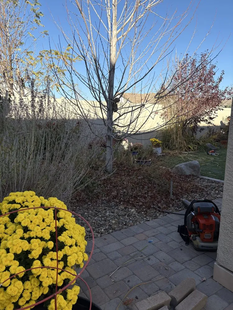 Custom lawn mowing service in Carson City, NV by Sunrise Landscape