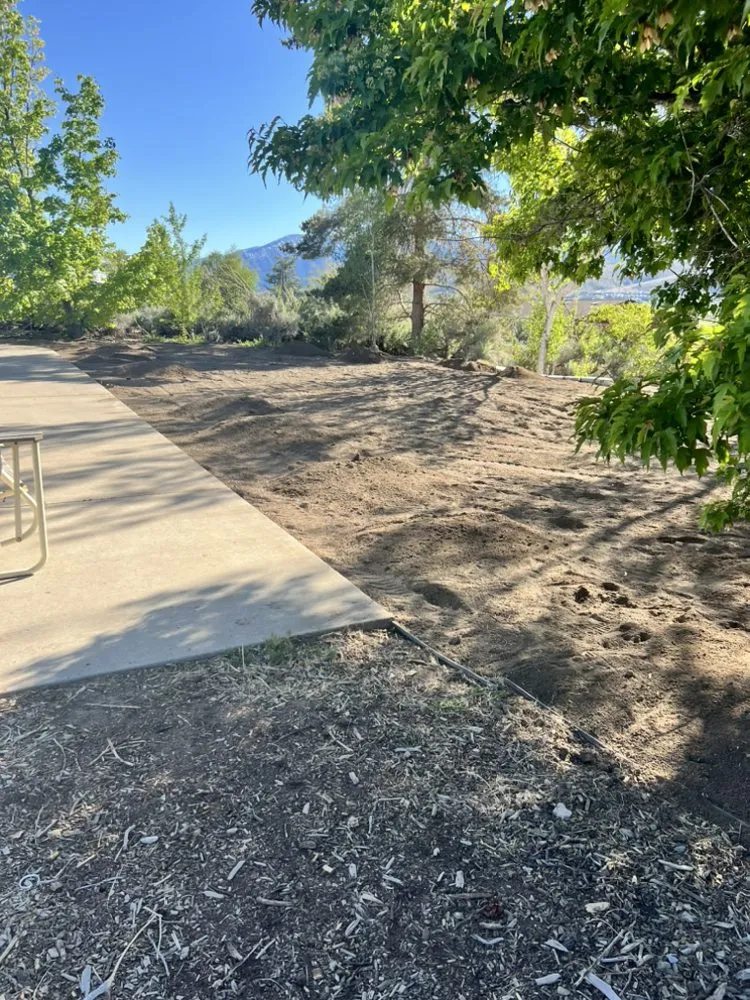 Local yard maintenance in Carson City, NV by Sunrise Landscape