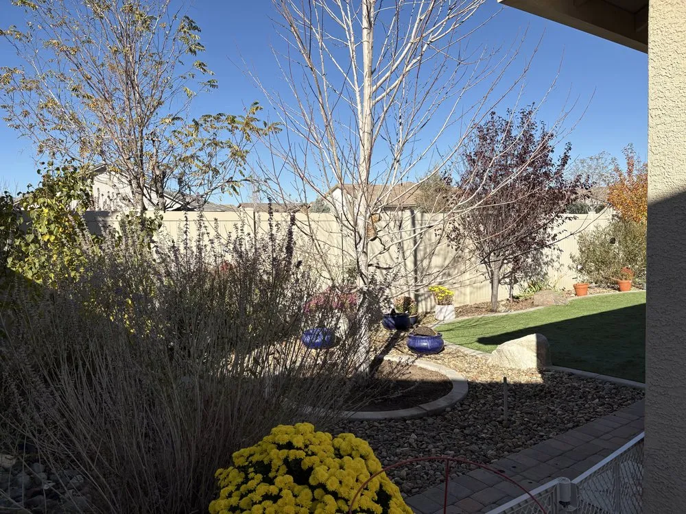 Expert yard cleanup service in Carson City, NV by Sunrise Landscape