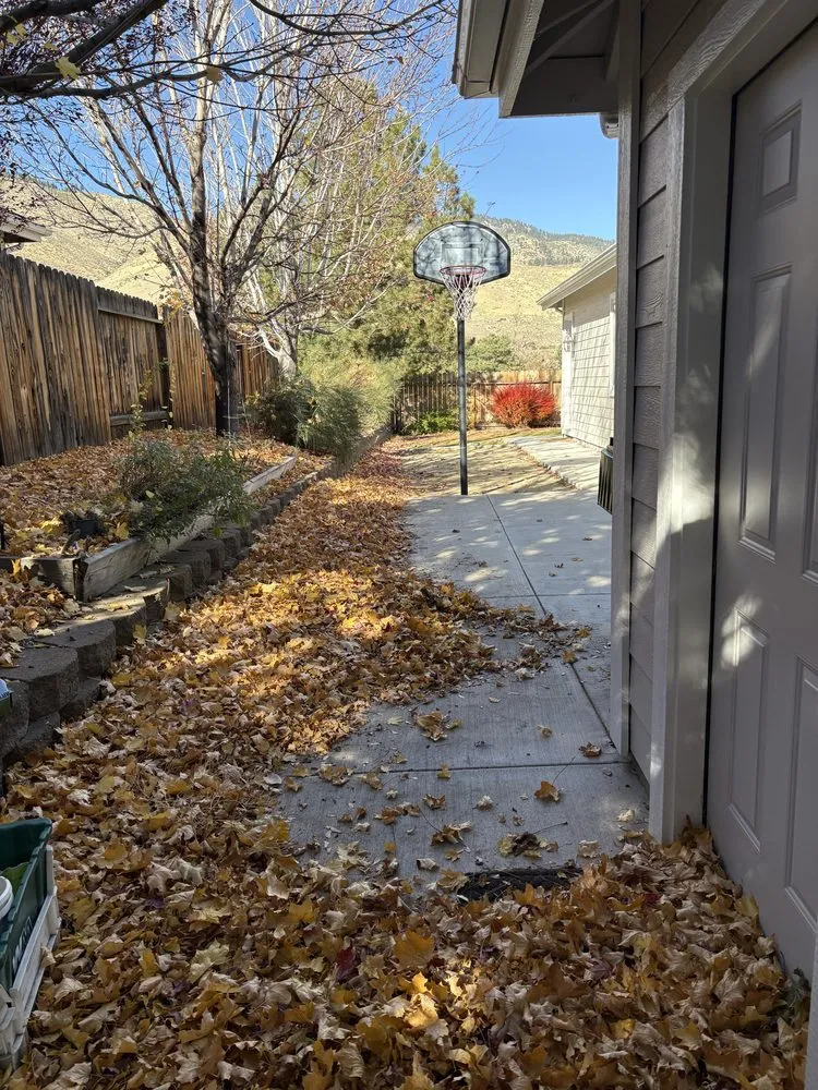 Professional landscape installation in Carson City, NV - Sunrise Landscape