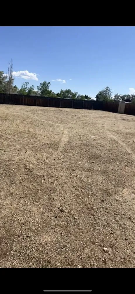 Top-rated lawn mowing service near you in Carson City, NV by Sunrise Landscape