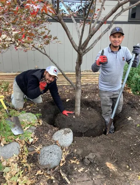 Top-rated garden landscaping for year-round maintenance across Kansas City, KS - Sunrise Landscape