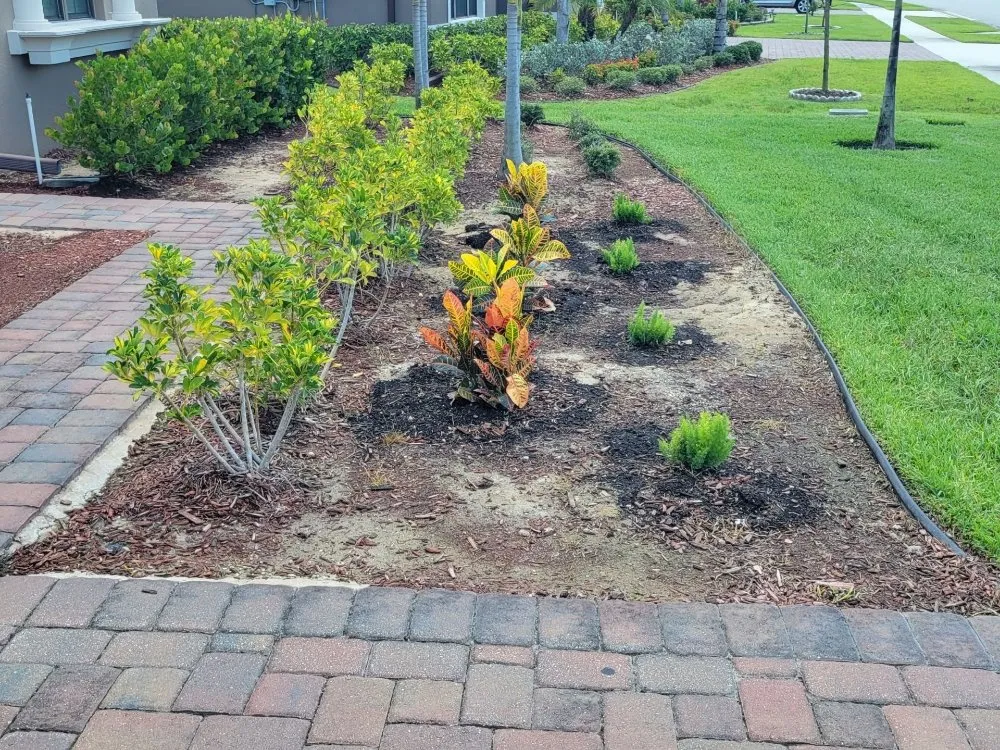 Custom outdoor landscaping for outdoor upgrades in Melbourne, FL by Sunrise Landscape