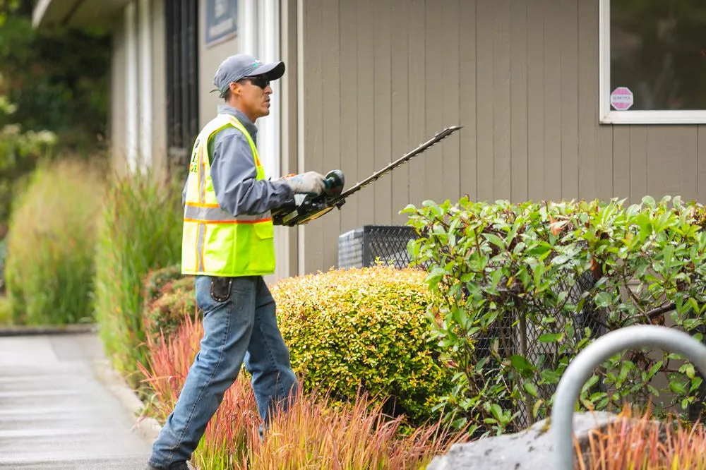 Local yard maintenance experts serving Boring, OR - Sunrise Landscape Professionals
