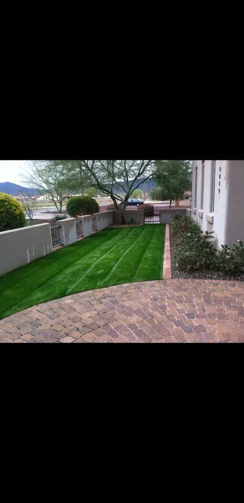 Expert lawn care service in Citrus Heights, CA - Sunrise Landscape Services