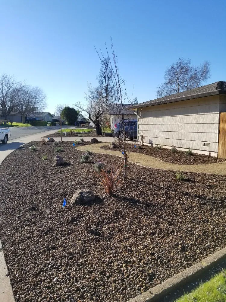 Top-rated lawn care service near you across Citrus Heights, CA - Sunrise Landscape Services