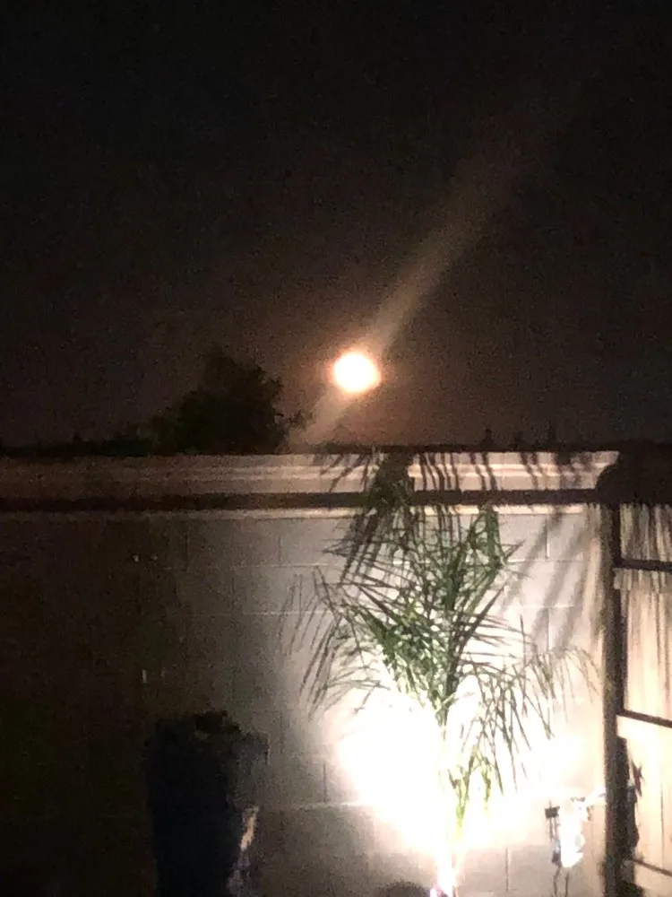 Expert outdoor landscaping for outdoor upgrades in Citrus Heights, CA by Sunrise Landscape Services