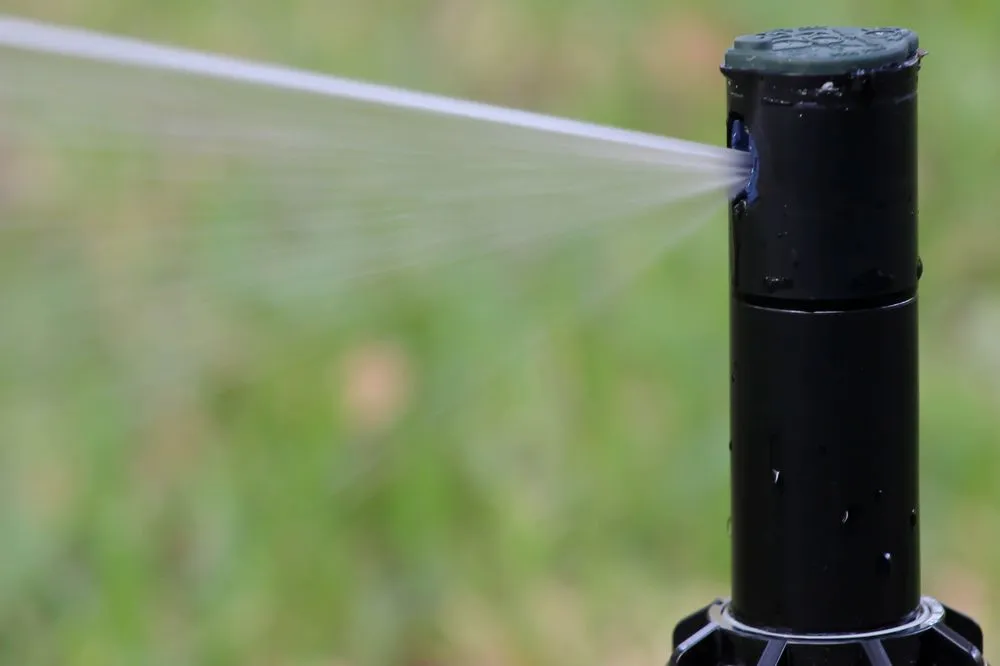 Local yard cleanup service experts serving College Station, TX - Sunrise Landscapes