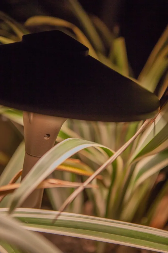 Custom garden landscaping in College Station, TX - Sunrise Landscapes