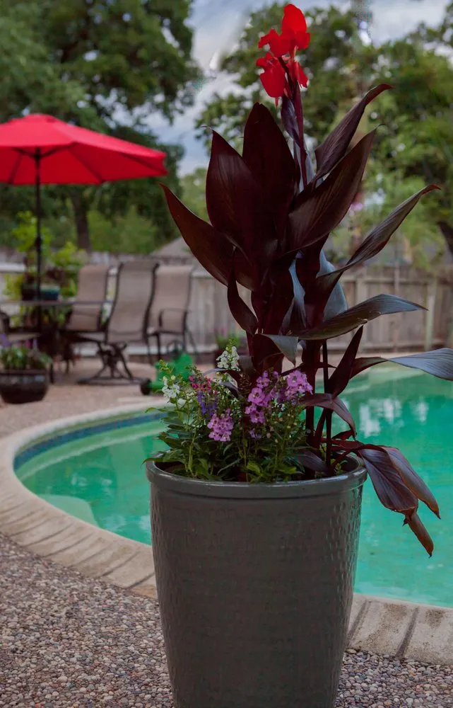 Local garden landscaping experts serving College Station, TX - Sunrise Landscapes