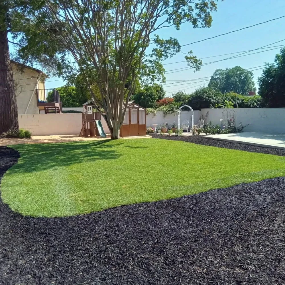 Reliable yard maintenance near you across Homeland, CA - Sunrise Landscaping & Design
