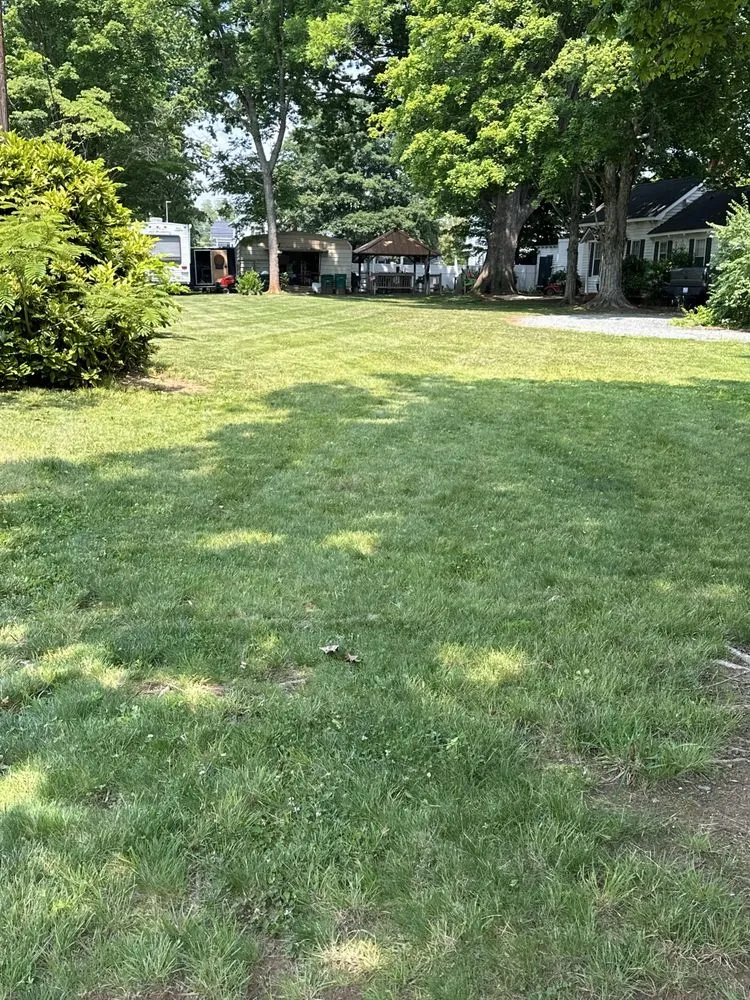 Local landscape design in Winston-Salem, NC - Sunrise Landscaping & Home Improvements