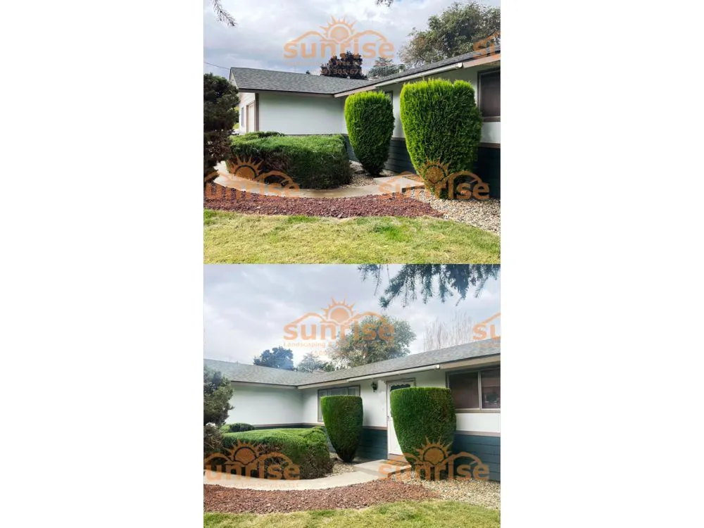 Expert landscape design in Grandview, WA - Sunrise Landscaping & Tree Services