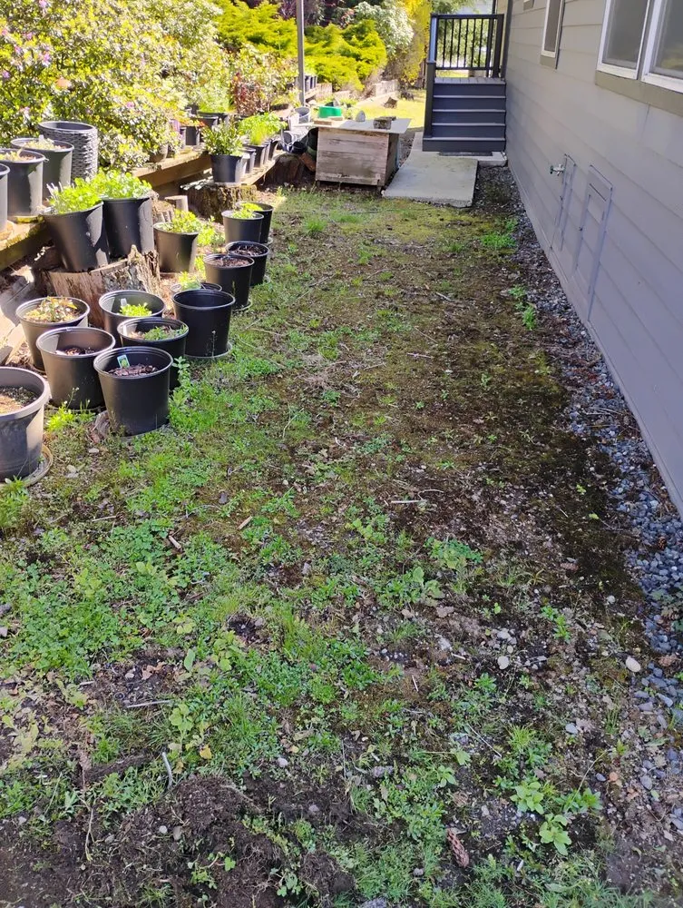 Reliable landscape installation in Everett, WA - Sunrise Landscaping