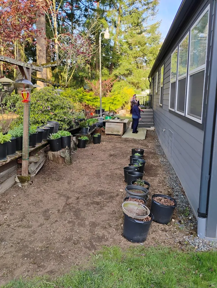 Local lawn mowing service experts serving Everett, WA - Sunrise Landscaping