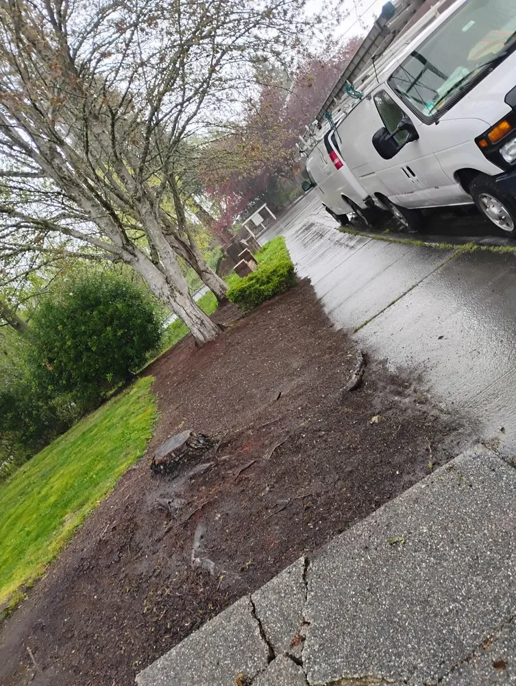 Reliable residential landscaping in Everett, WA by Sunrise Landscaping