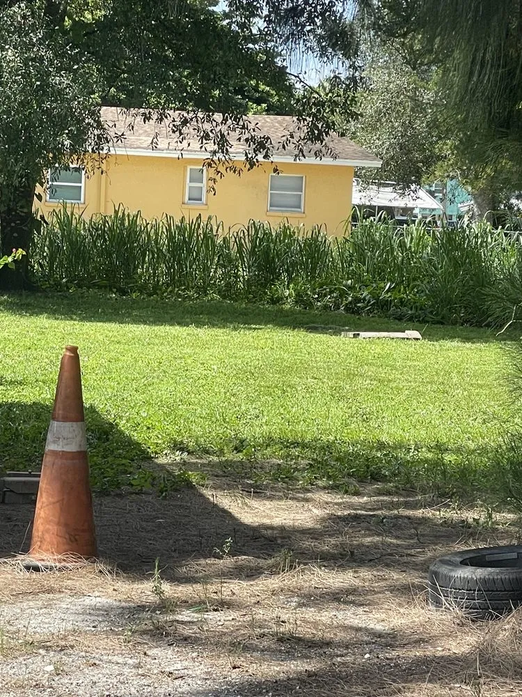 Local yard cleanup service for year-round maintenance across Fort Myers, FL - Sunrise Landscaping