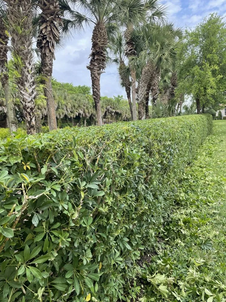 Affordable landscape design for beautiful yards in Fort Myers, FL by Sunrise Landscaping