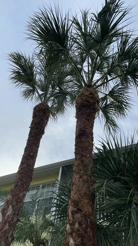 Top-rated landscape design for year-round maintenance in Fort Myers, FL by Sunrise Landscaping