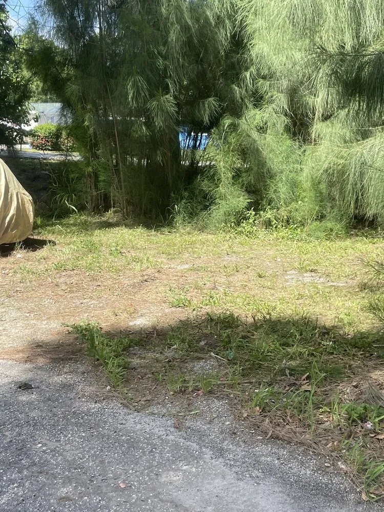 Reliable landscape installation experts serving Fort Myers, FL - Sunrise Landscaping