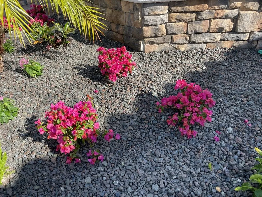 Expert outdoor landscaping in Fort Myers, FL - Sunrise Landscaping